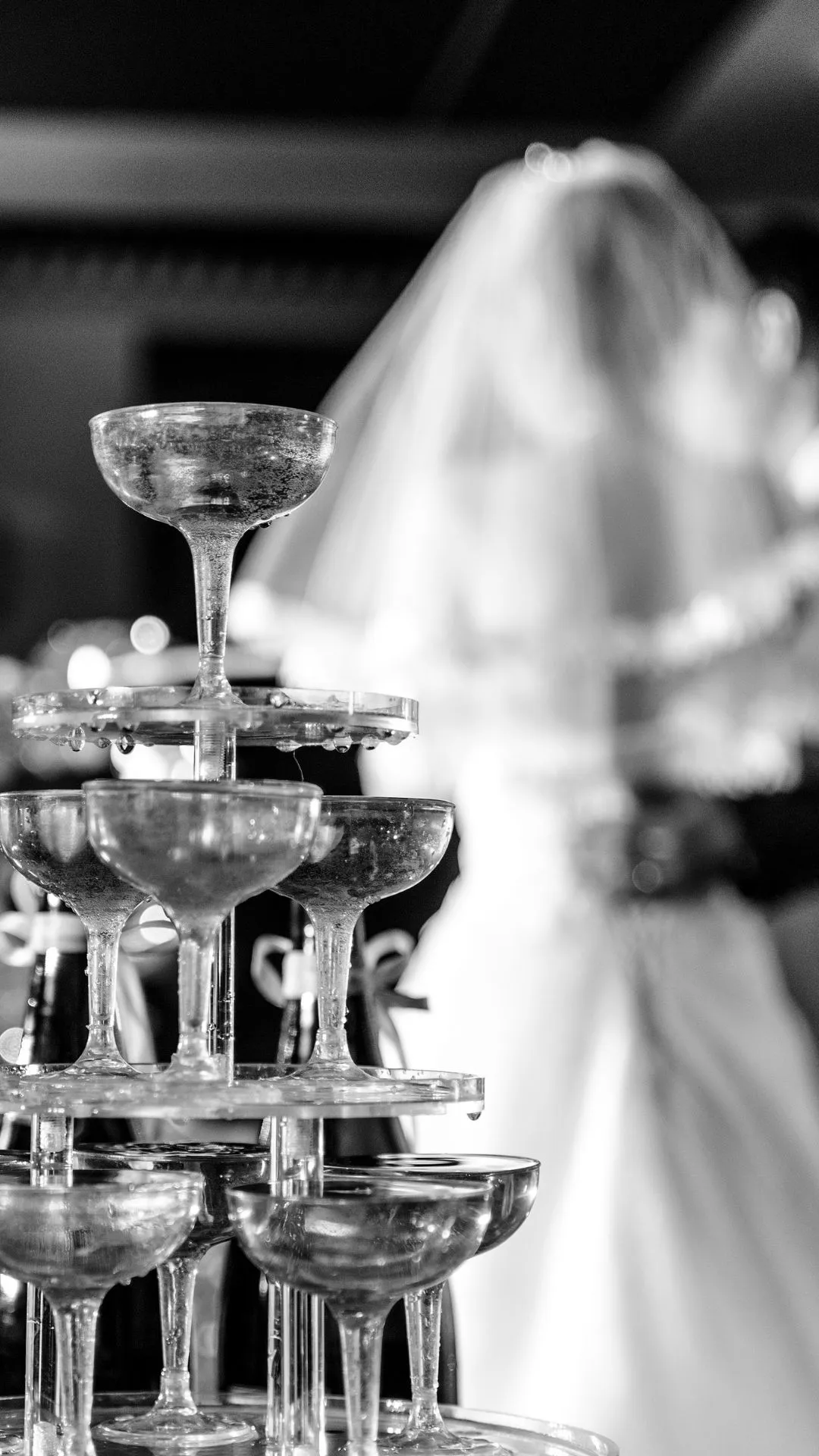 Wedding toast captured by a guest